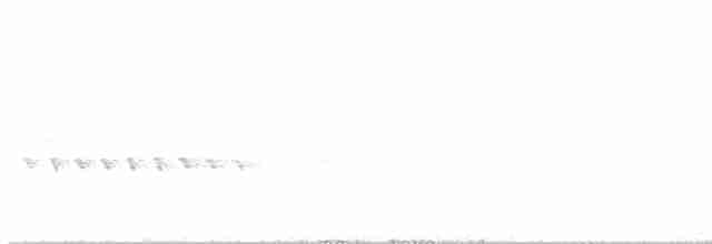 Bewick Çıtkuşu - ML619538497
