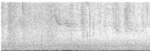 Желтоплечая пиранга - ML619538952