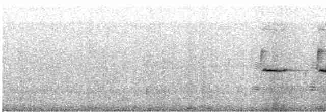 גיבתונית רוננת - ML619539178