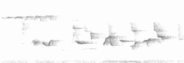 pěnice černohlavá - ML619539236