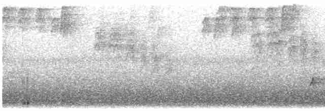 Дрізд-короткодзьоб Cвенсона - ML619539244