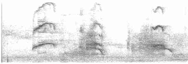 Uroilanda handia - ML619539386