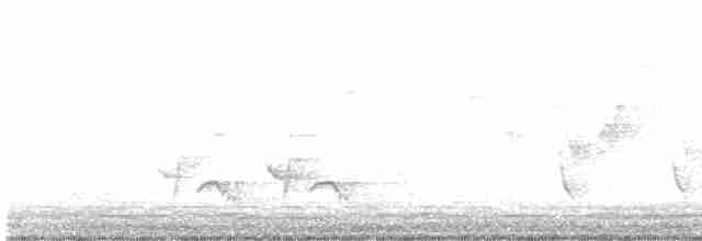 Тремблер прямодзьобий - ML619539568