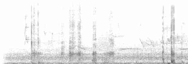 גיבתונית רוננת - ML619539737