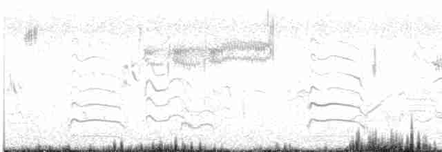 Острохвостая овсянка-барсучок - ML619539746