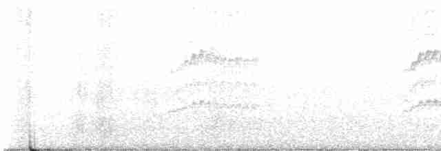 Swinhoe Gözlükçüsü - ML619539886