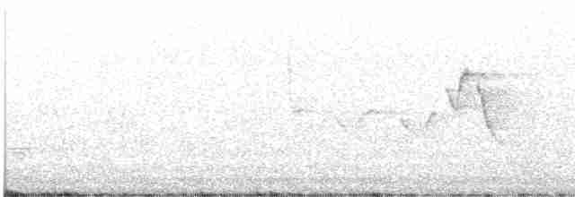 Hooded Warbler - ML619540146