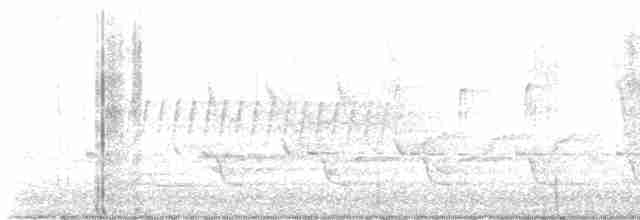 Каролинский крапивник - ML619540153