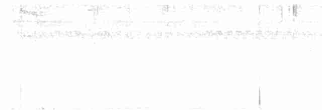 Желтогорлая пищуховая иглохвостка - ML619540303
