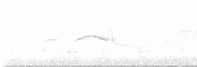 Каролинский крапивник - ML619540441