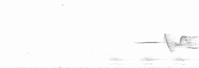 Münzevi Bülbül Ardıcı - ML619540554