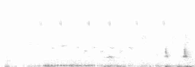 Great Reed Warbler - ML619540607