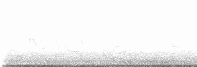 Серогрудый тиранн - ML619541389