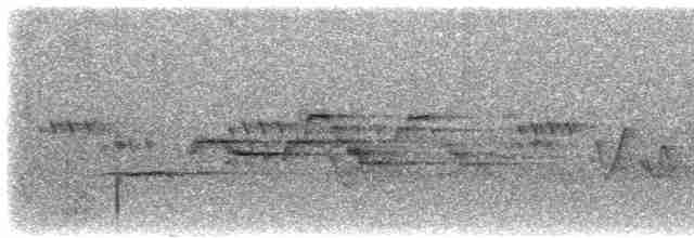 Münzevi Bülbül Ardıcı - ML619541502