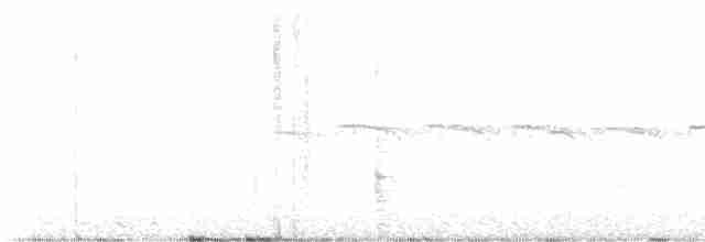 Black-billed Cuckoo - ML619541544