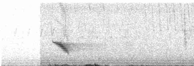 Дрізд-короткодзьоб бурий - ML619541624