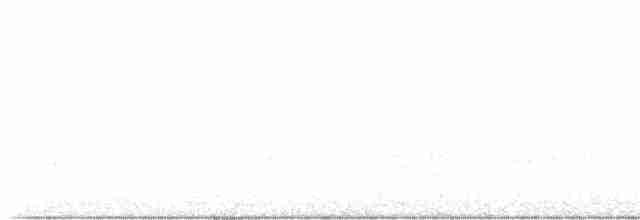 lesňáček černobílý - ML619541868