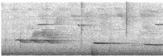 Graubrust-Ameisendrossel [hoffmanni-Gruppe] - ML619541959
