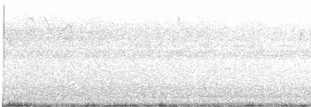 svarthvit fluesnapper - ML619542022