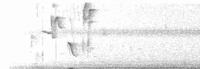 Turuncu Gagalı Bülbül Ardıcı - ML619542862
