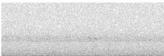Короткоклювый бекасовидный веретенник - ML619542923