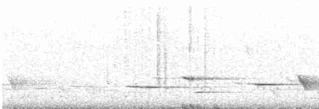 Méliphage carillonneur - ML619543302