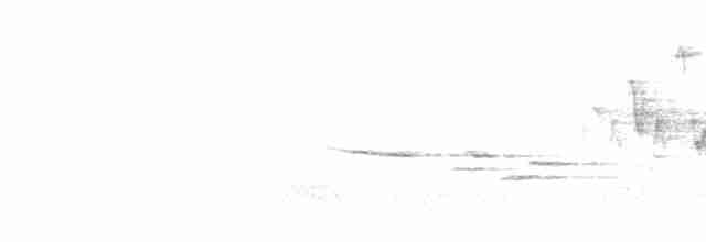 Troglodyte de Baird - ML619543569