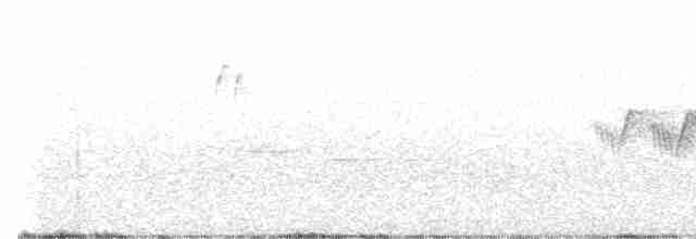 Cerulean Warbler - ML619543746