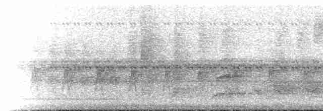 holub neotropický - ML619543822