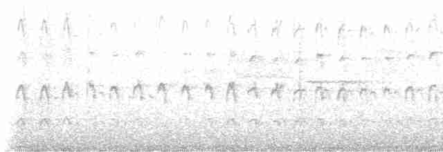 strakapoud americký [skupina villosus] - ML619543962