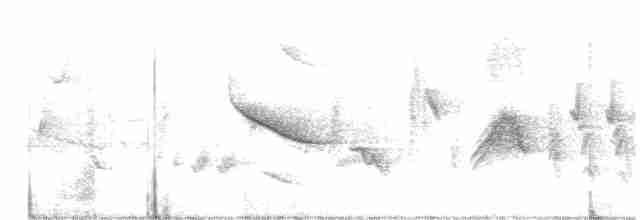 Oriole des vergers - ML619544501