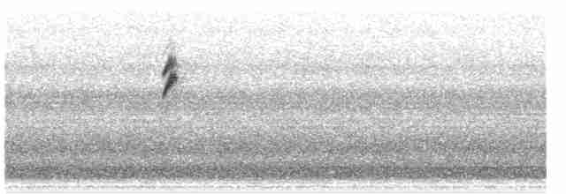 svartbrystparula - ML619544558