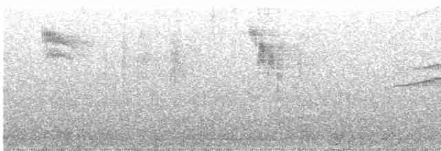 gråfluesnapper (striata gr.) - ML619544701