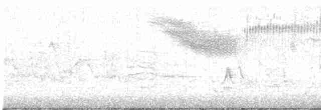 Голубокрылая червеедка - ML619544702