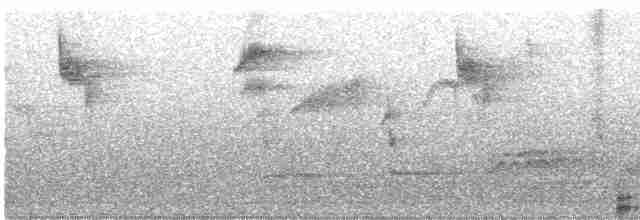 lejsek šedý [skupina striata] - ML619544704