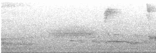 gråfluesnapper (striata gr.) - ML619544712