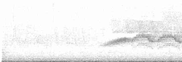 Дрізд-короткодзьоб бурий - ML619544741
