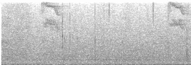 lejsek šedý [skupina striata] - ML619544749