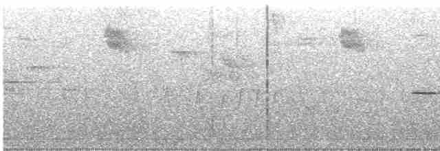 gråfluesnapper (striata gr.) - ML619544771