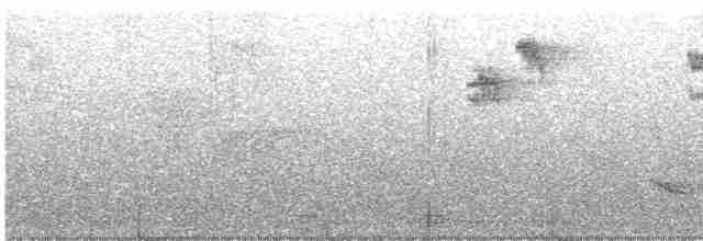 gråfluesnapper (striata gr.) - ML619544772
