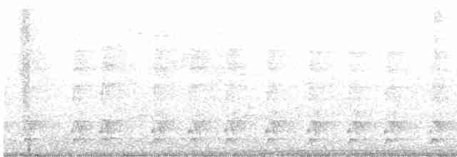 hvitbrynsvartspett - ML619544931