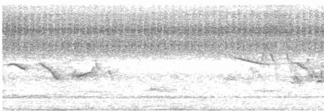 svarthodelarveeter - ML619544999