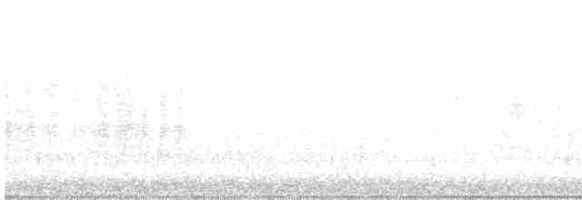 キヅタアメリカムシクイ（coronata） - ML619545075