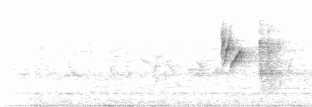 Атласная нектарница - ML619545089