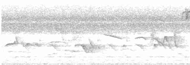 Turuncu Başlı Ardıç - ML619545524