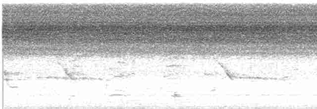 gråkronefulvetta - ML619546134