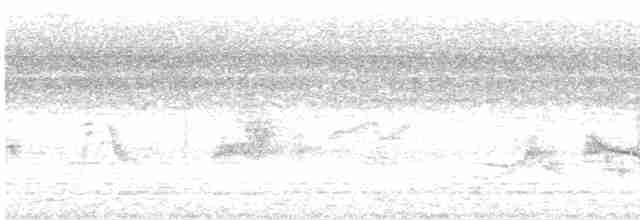 vlaštovka skalní - ML619546169