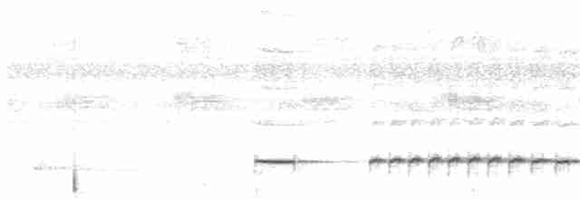 svartstrupemaurrikse (analis gr.) - ML619546357