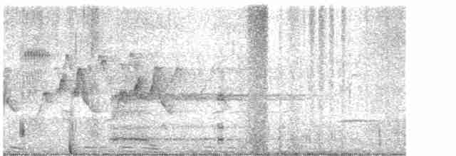 Ring-necked Pheasant - ML619546384