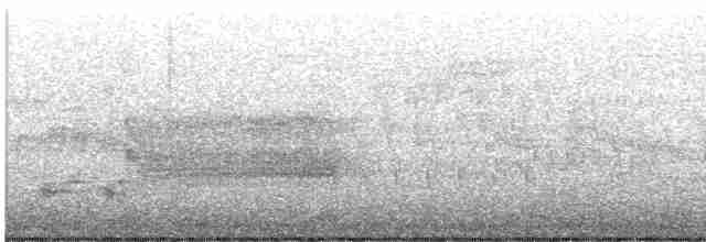 tyranovec vrbový - ML619547147
